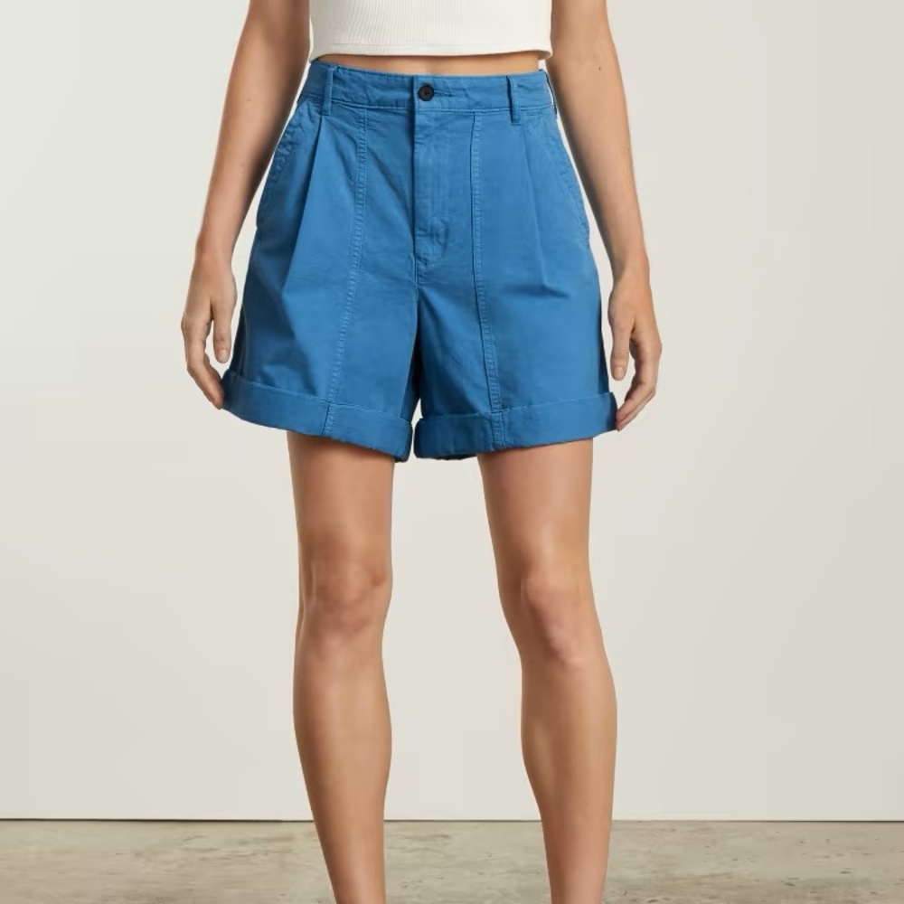 NWT Everlane Tourist Short in Horizon Blue